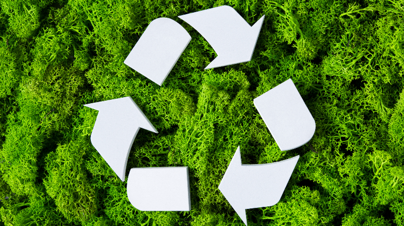 Personal Responsibility in Plastic Recycling: What Can We Do?